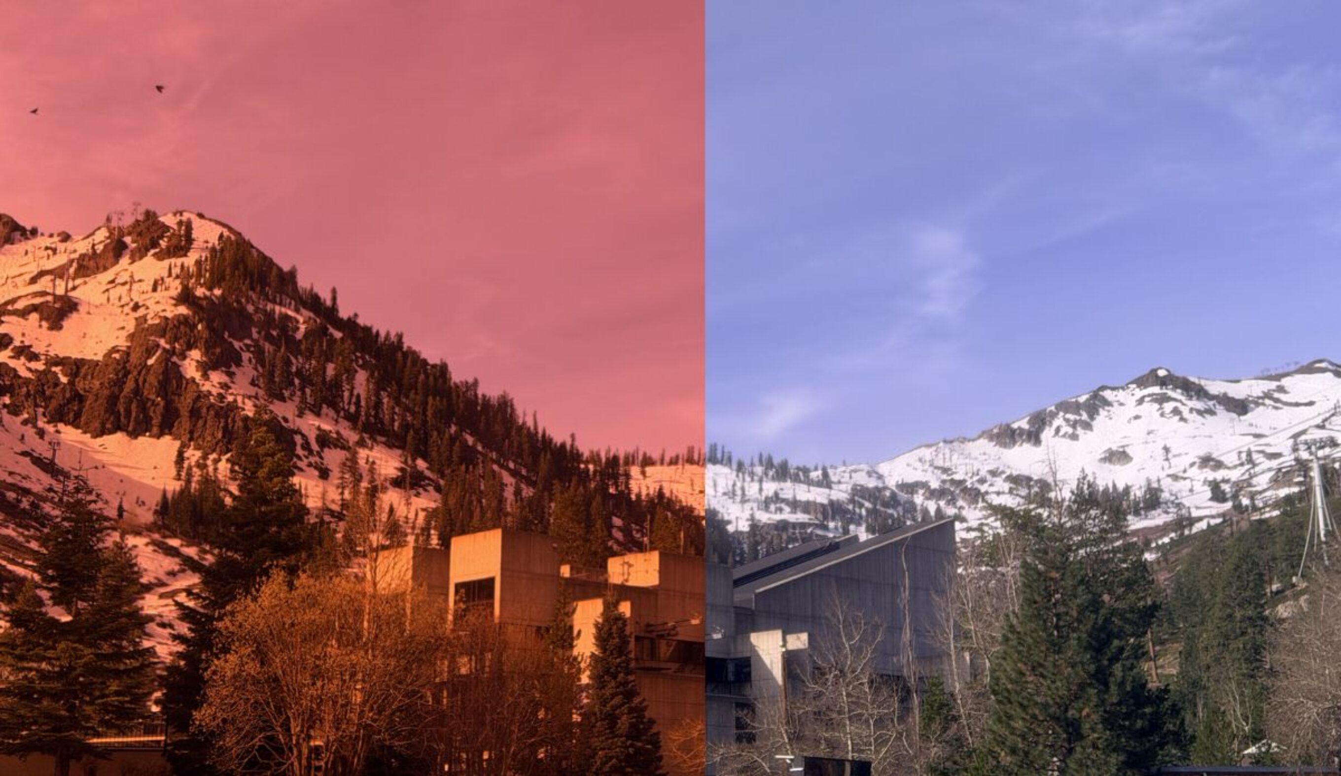 Oakley Prizm vs Smith Chromapop