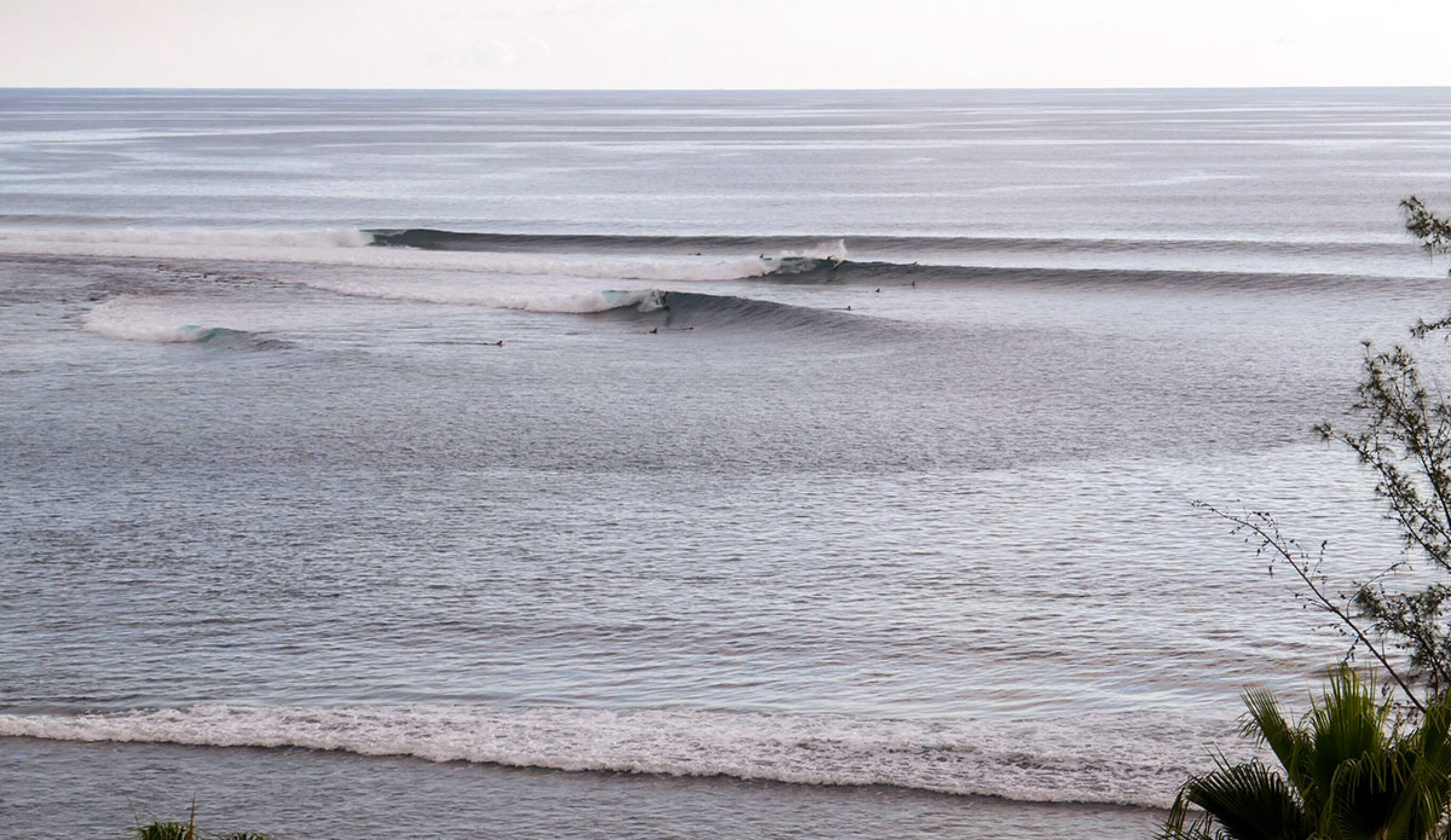 Shark Attacks Mysteriously Stopped on Reunion Island, But Its Surf Culture Is Still Recovering