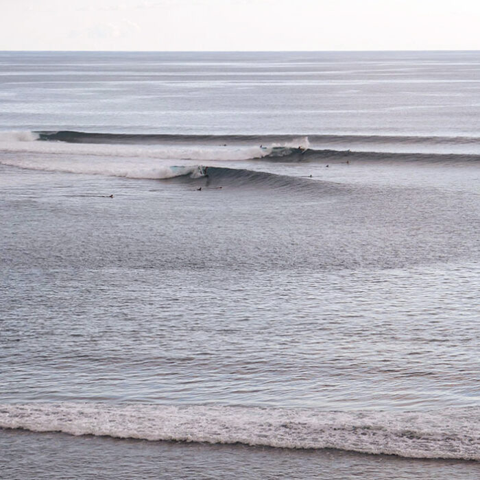 Shark Attacks Mysteriously Stopped on Reunion Island, But Its Surf Culture Is Still Recovering