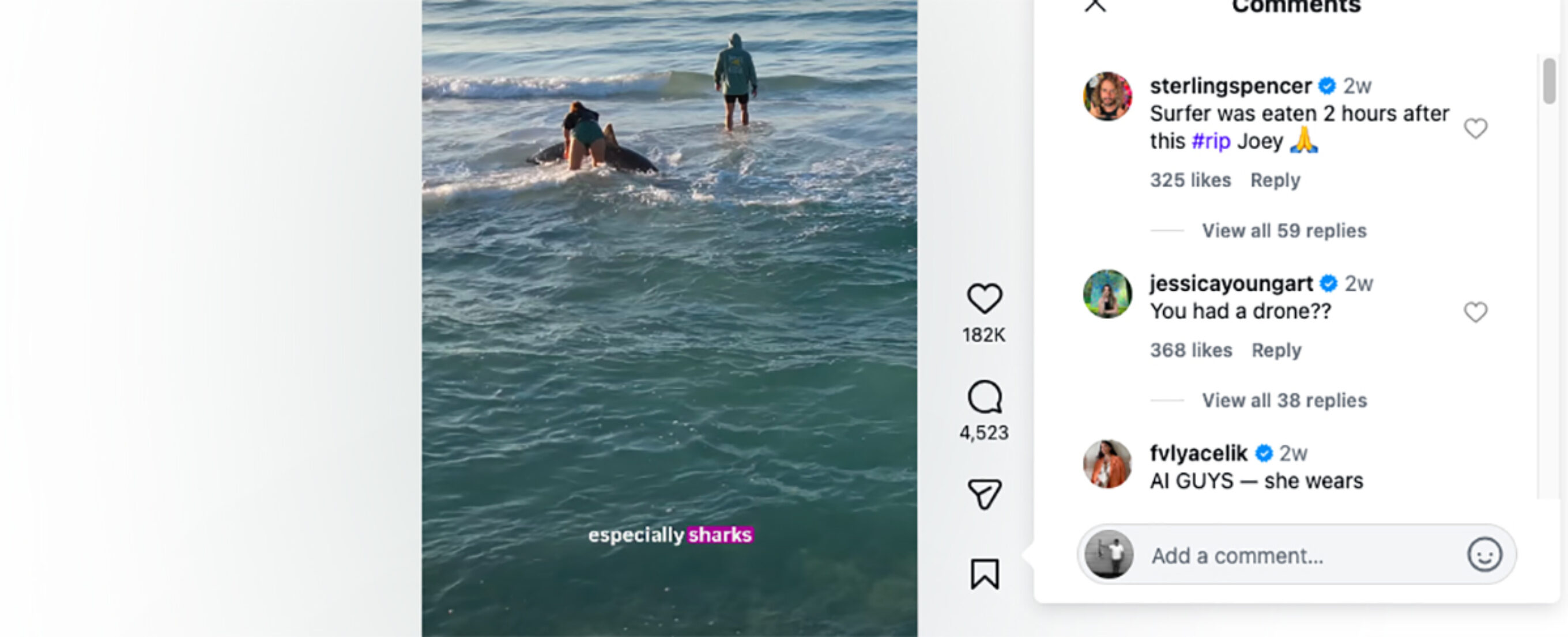 Sterling Spencer Trolls Influencer for Performative Shark Rescue