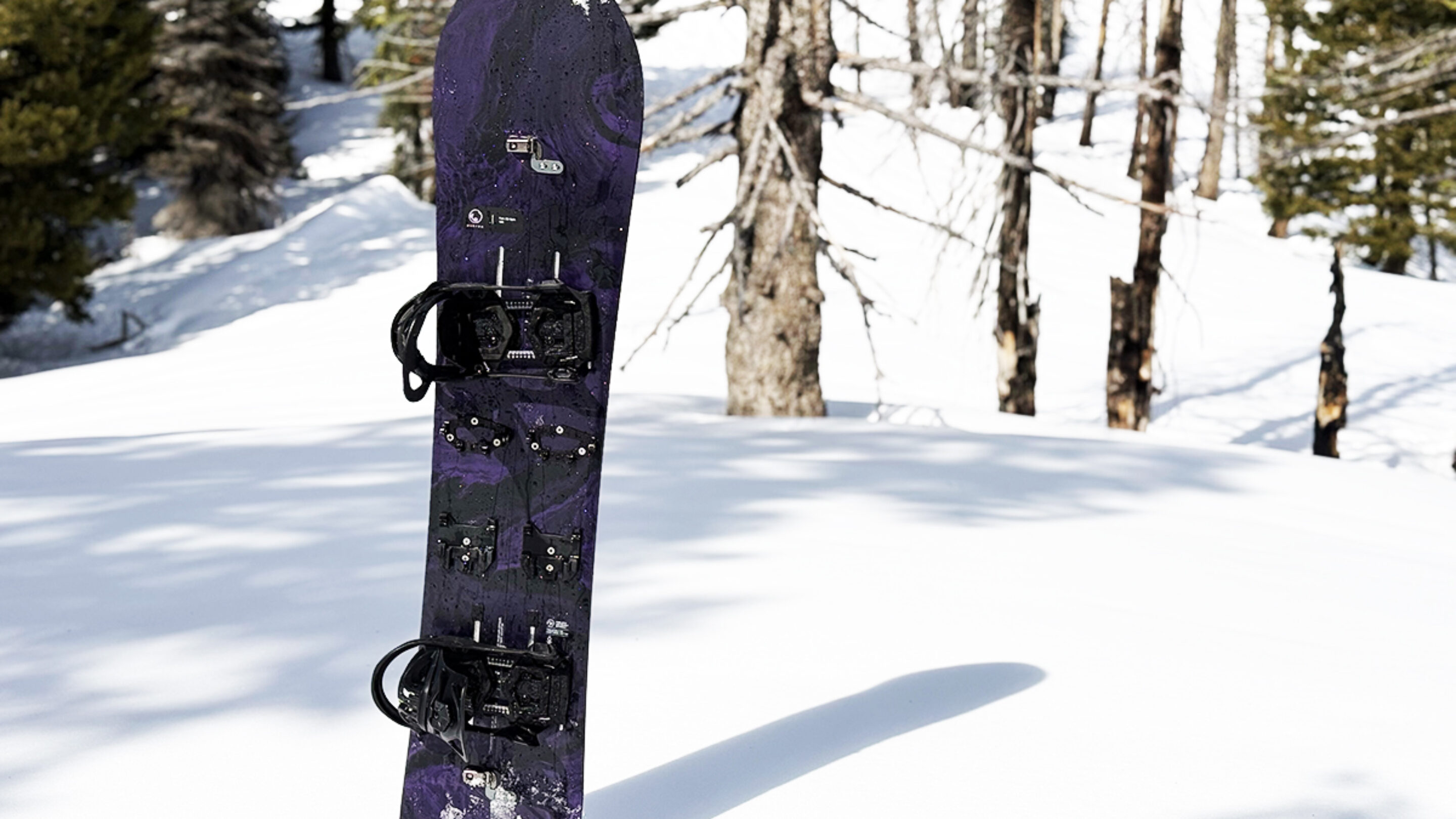 The Burton 3D Fish Splitboard