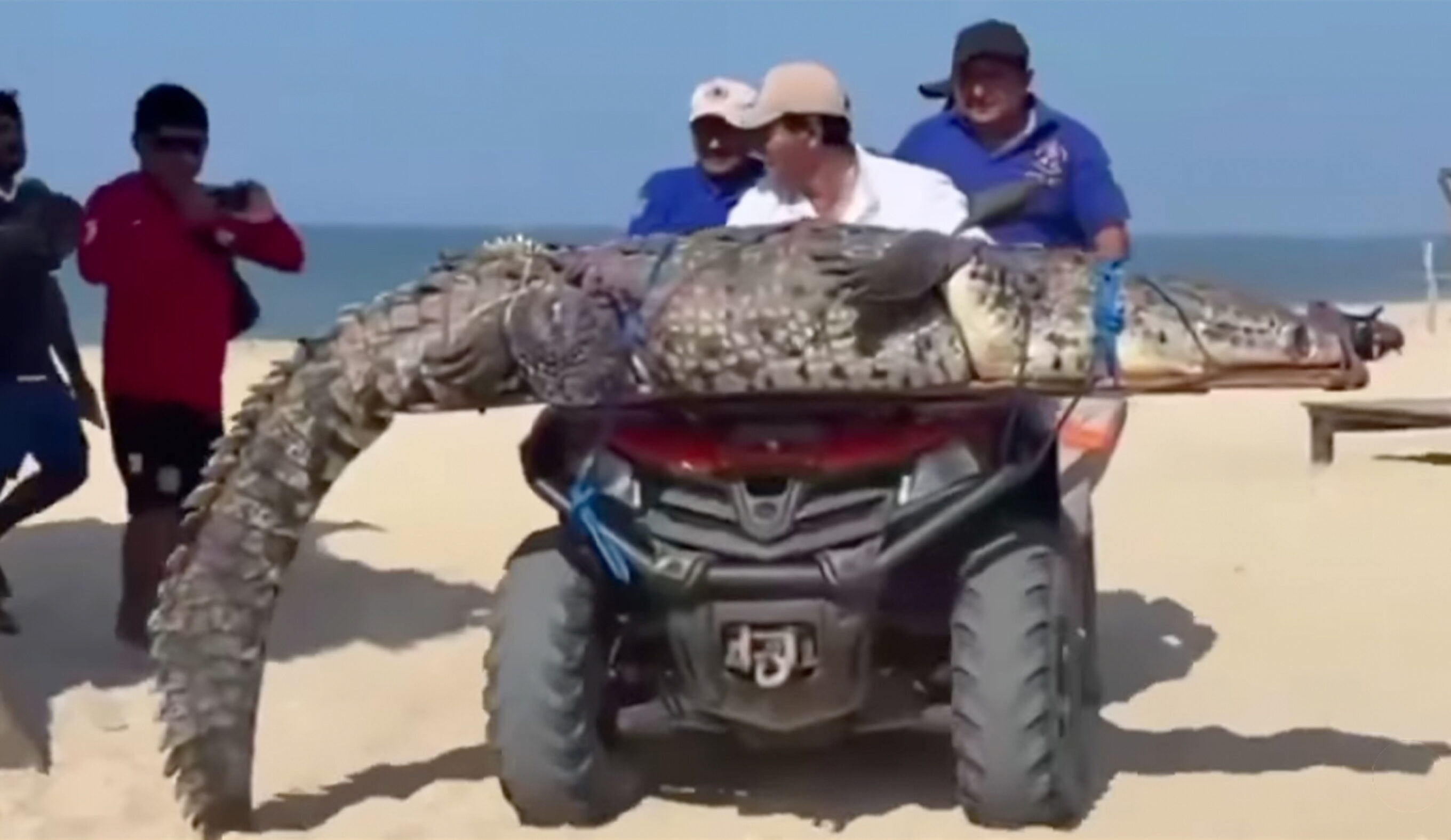 Authorities posed with their catch before returning it to its habitat. Photo: Central Q Noticias // Instagram