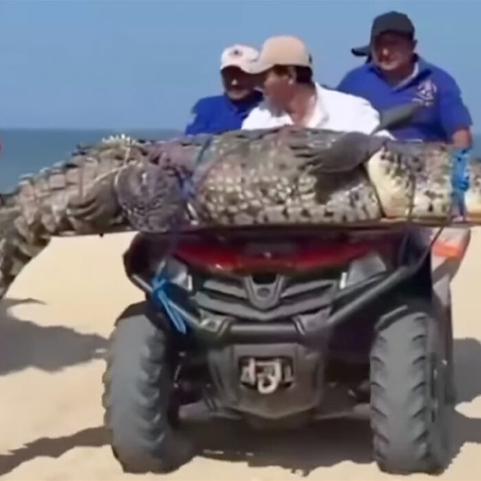 Authorities posed with their catch before returning it to its habitat. Photo: Central Q Noticias // Instagram