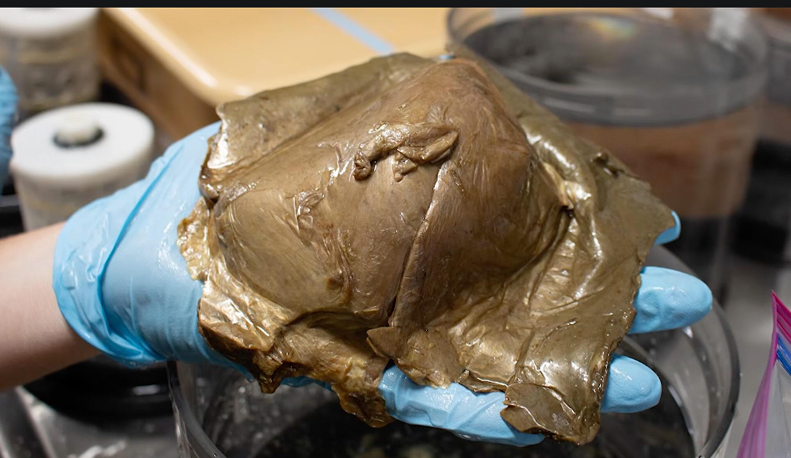 It turns out this wasn't the beginning of a horror movie. Photo: NOAA