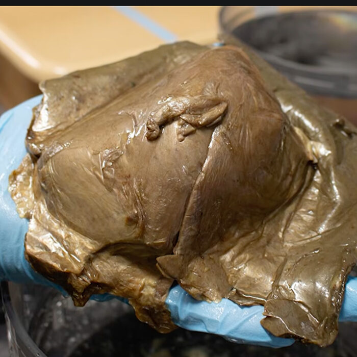 It turns out this wasn't the beginning of a horror movie. Photo: NOAA