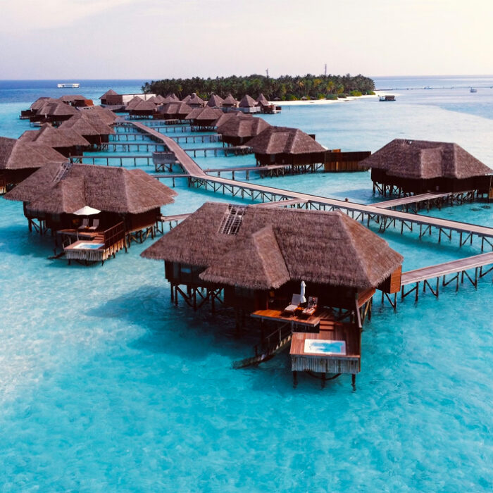 The bite occurred on Kooddoo, an island in the Maldives. Photo: Mike Swigunski // Unsplash
