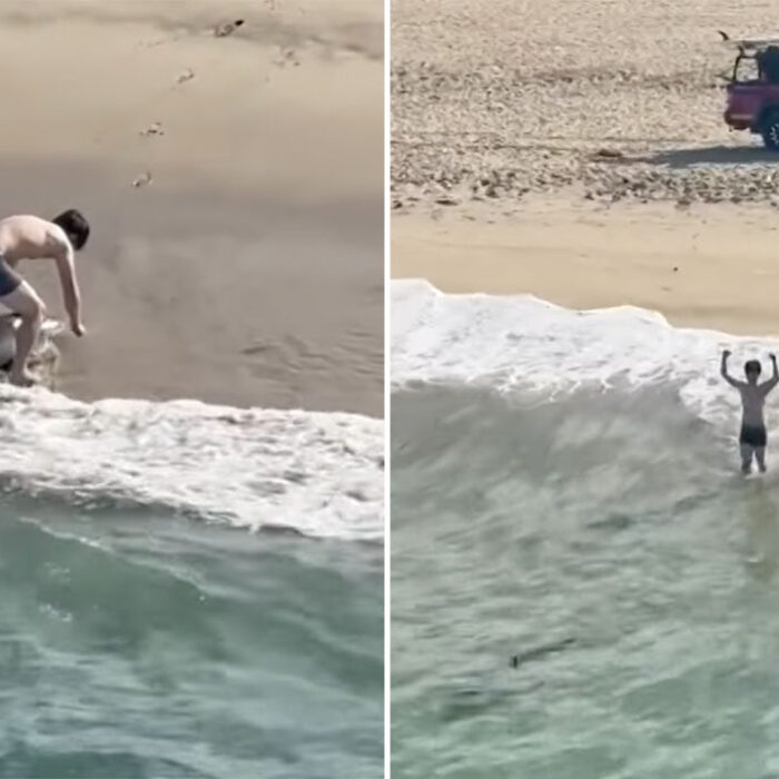 Hermosa Beach fisherman catching great white shark