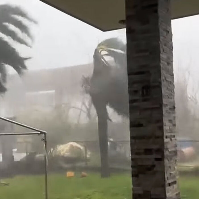 Super Typhoon Sinlaku makes landfall